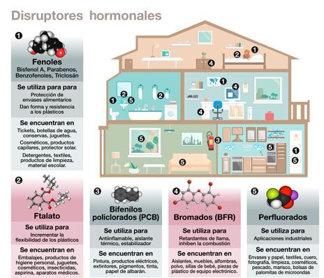 Fundación Alborada